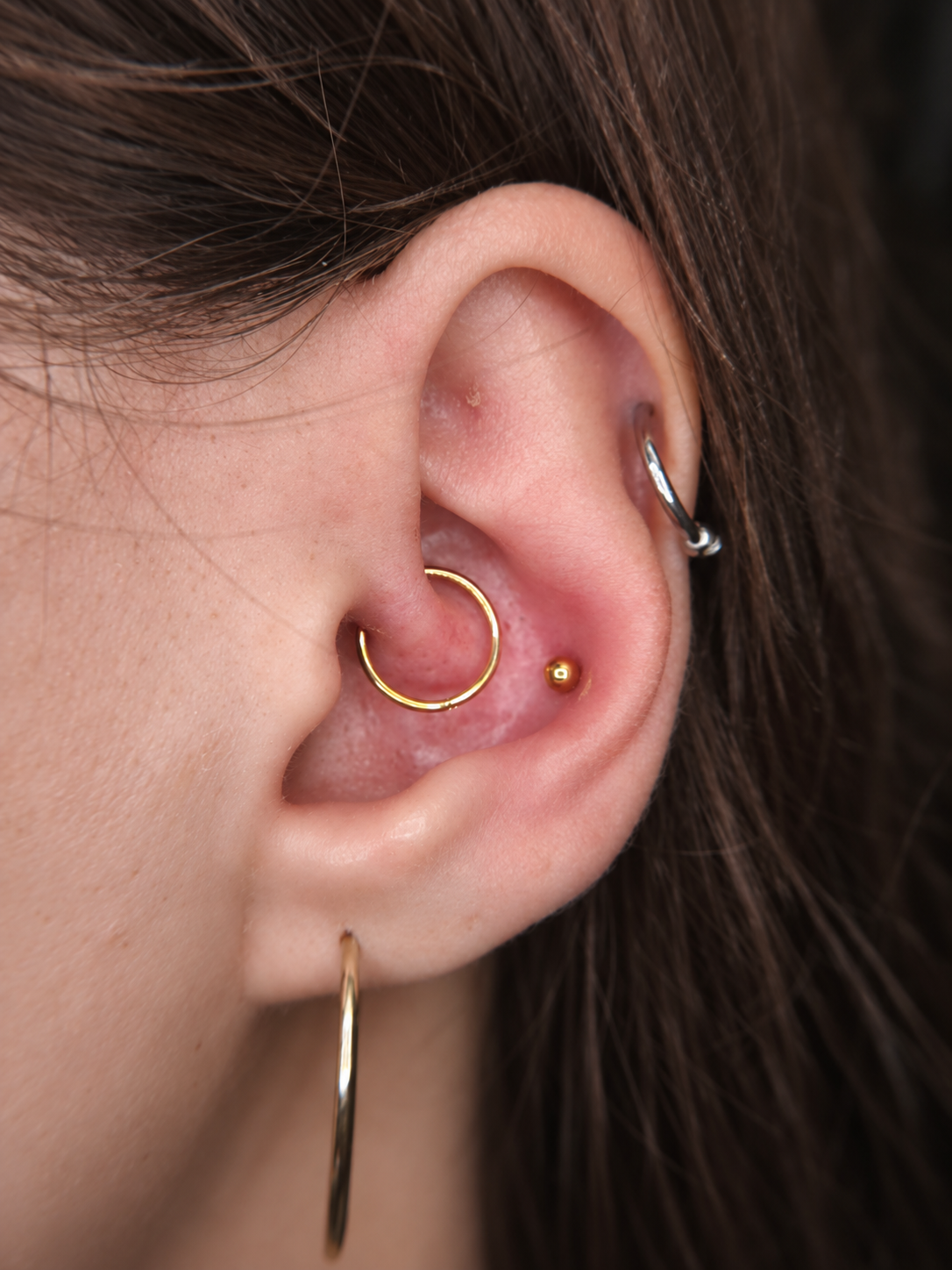 Zbliżenie piercingu ucha ze złotym kółkiem — realizacja Pawła w Zajawa Tattoo Świdnica